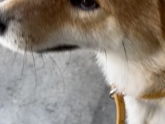 -隹木咖啡馆(宝龙广场店)