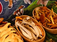 -季季山·云南野生菌火锅(上海首店)