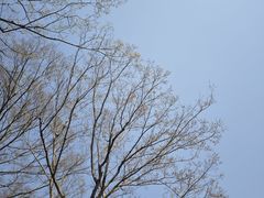 -白塘生态植物园