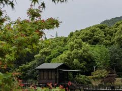 -虞山风景区