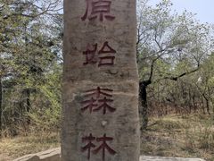 -大青沟风景区