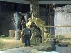 -清迈夜间动物园