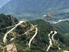 -白草畔自然风景区