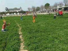 -武汉紫薇都市田园