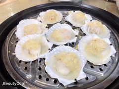 -海大大蒸汽海鲜餐厅·粤菜·特色小炒(欢乐颂店)