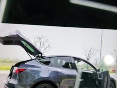 -TESLA 特斯拉(郑州正弘城体验店)