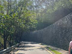 -小南山公园
