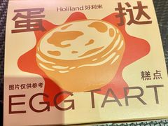 -蒲公英(五里店)
