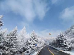 -灵山