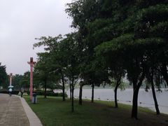 -飞来湖湿地公园