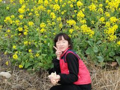 -两河城市森林公园