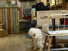 -小时光咖啡馆(开森度假森林店)