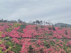 -木兰云雾山