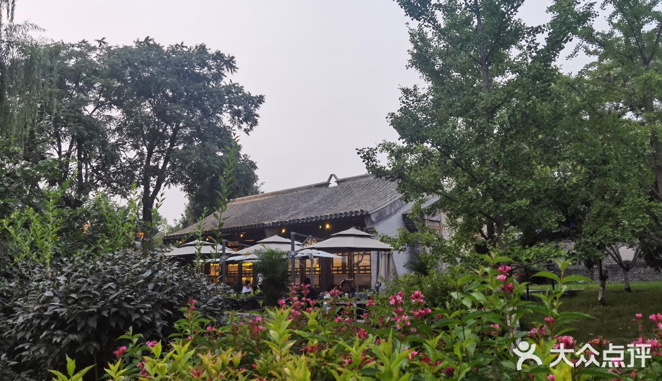 饭后闲逛,茶鱼乘凉