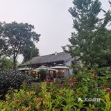 饭后闲逛,茶鱼乘凉