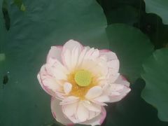 -青峰峡国家森林公园