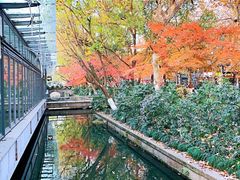 -西湖天地
