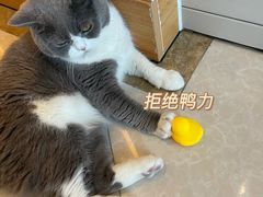 -Catmate·猫肥家润(金润铂宫店)