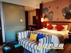 -常州环球恐龙城维景国际大酒店