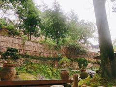 -青竺·青竹茶舍(断桥店)