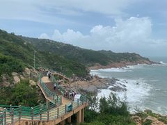 -广东惠东海龟国家级自然保护区