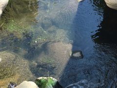 -碓臼峪自然风景区