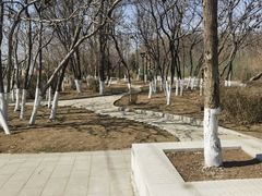 -丁香湖公园