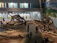 -自贡恐龙博物馆
