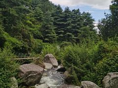 -苍山感通索道