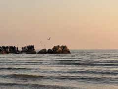 -老虎石海上公园