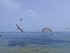 -棒棰岛宾馆景区