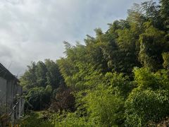 -苏州环秀晓筑养生度假村