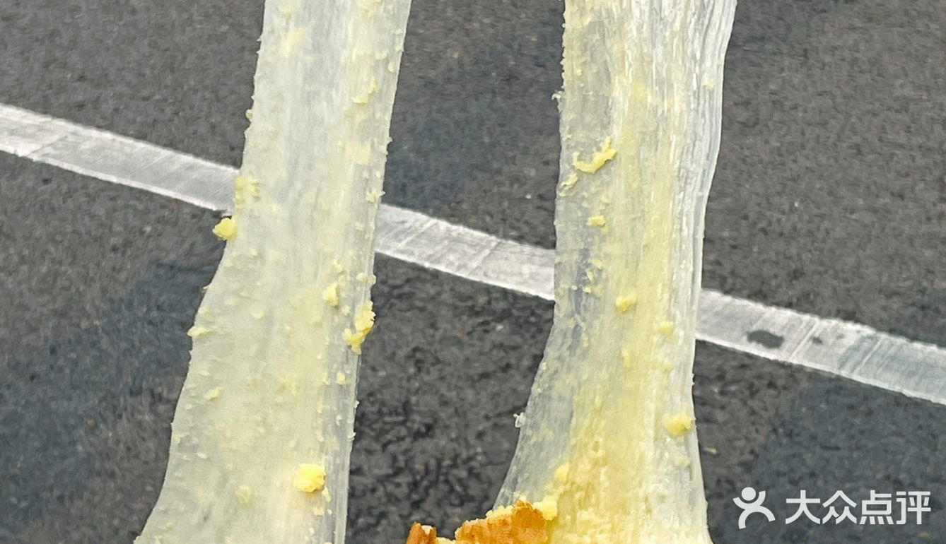 超长拉丝金钱饼！！全是芝士啊啊啊