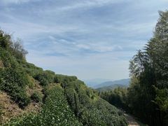 -径山寺