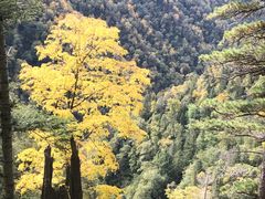 -凤凰山国家森林公园