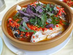 -笨罗卜浏阳菜馆(罗湖文和友店)