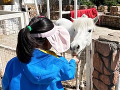 -J Create城市露营咖啡·简餐·宠物(上海动物园店)