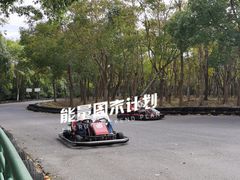 -上海海湾国家森林公园