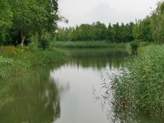 -泗洪洪泽湖湿地景区