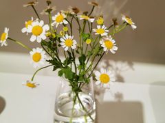 -代数学家algebraist(诚品店)