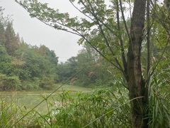 -桤木河湿地公园