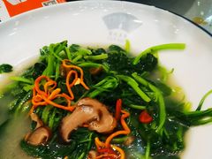 -绿雅居原生态农庄(小涌店)