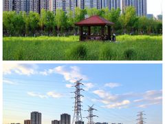 -永定河休闲森林公园