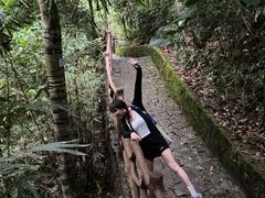 -海南热带雨林国家公园吊罗山景区