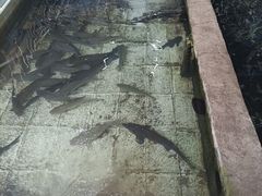-水磨农庄