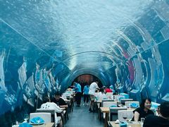 -涛·海底餐厅·美人鱼·自助餐·海底隧道(三亚海棠湾洲际度假酒店)