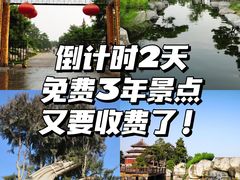 -中国唐苑