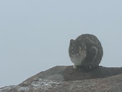 -崂山巨峰游览区