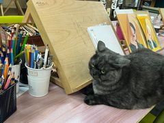 -八哥美术·成人美术画室(总校区)