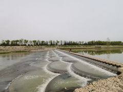-洨河生态公园